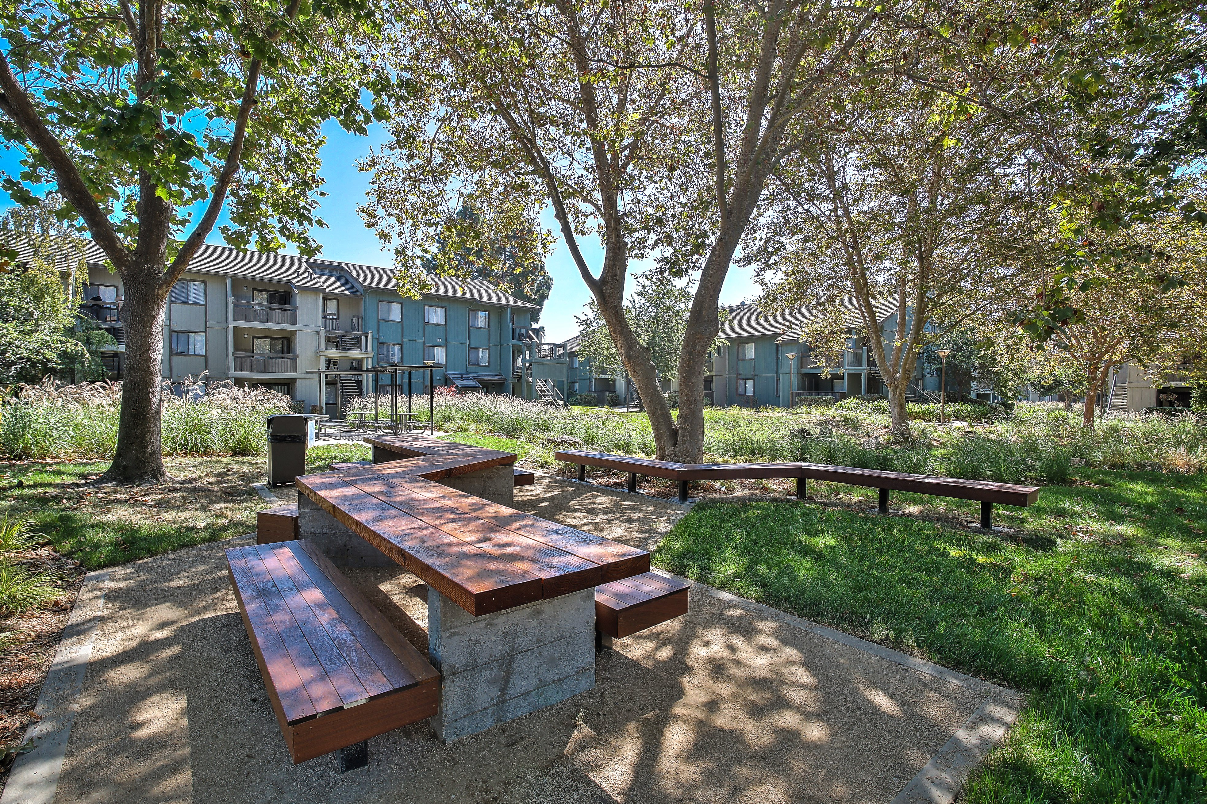 The Dutton Apartments photo 5